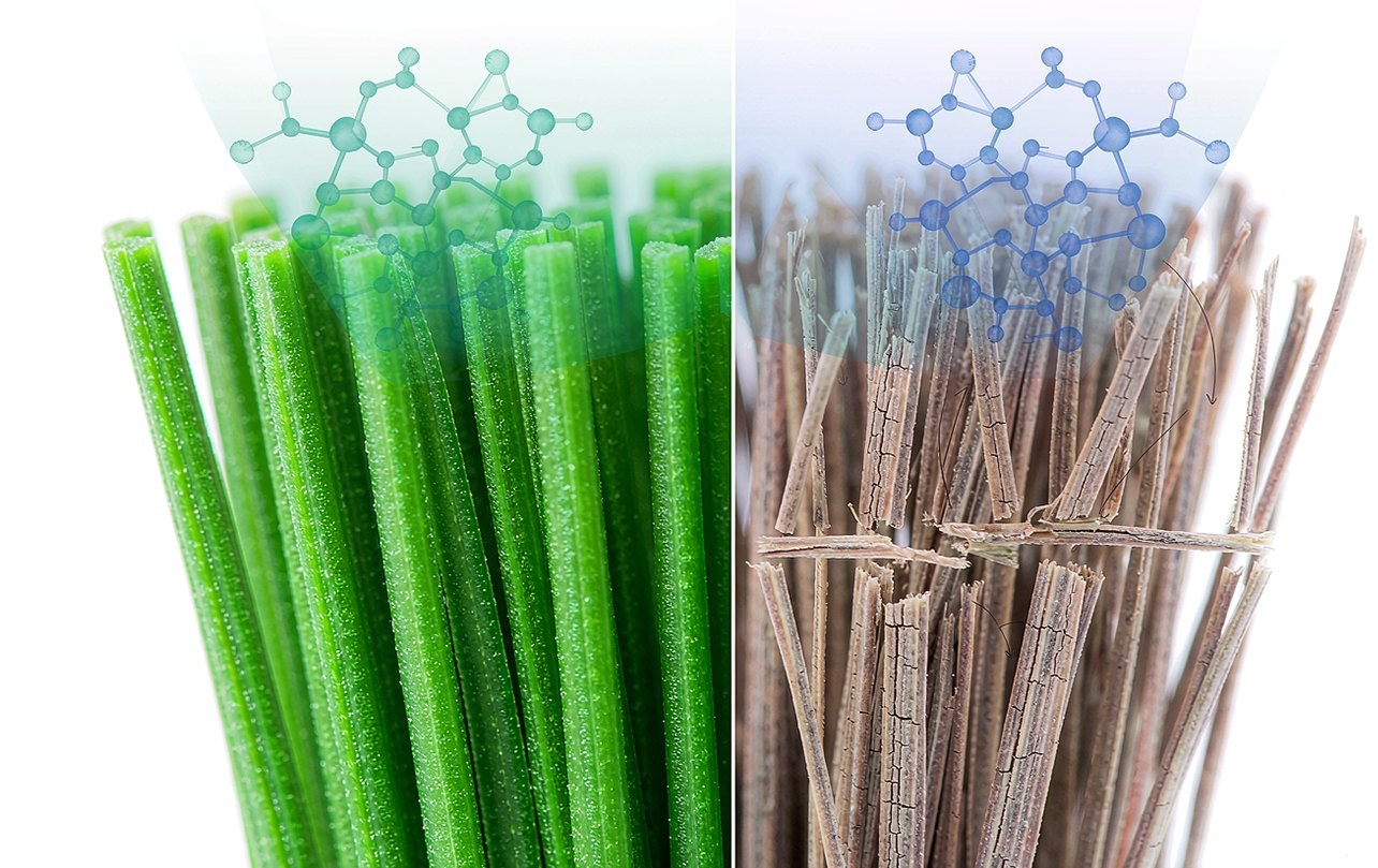 Grass Fibre Photo-Oxidation and Formulation Design